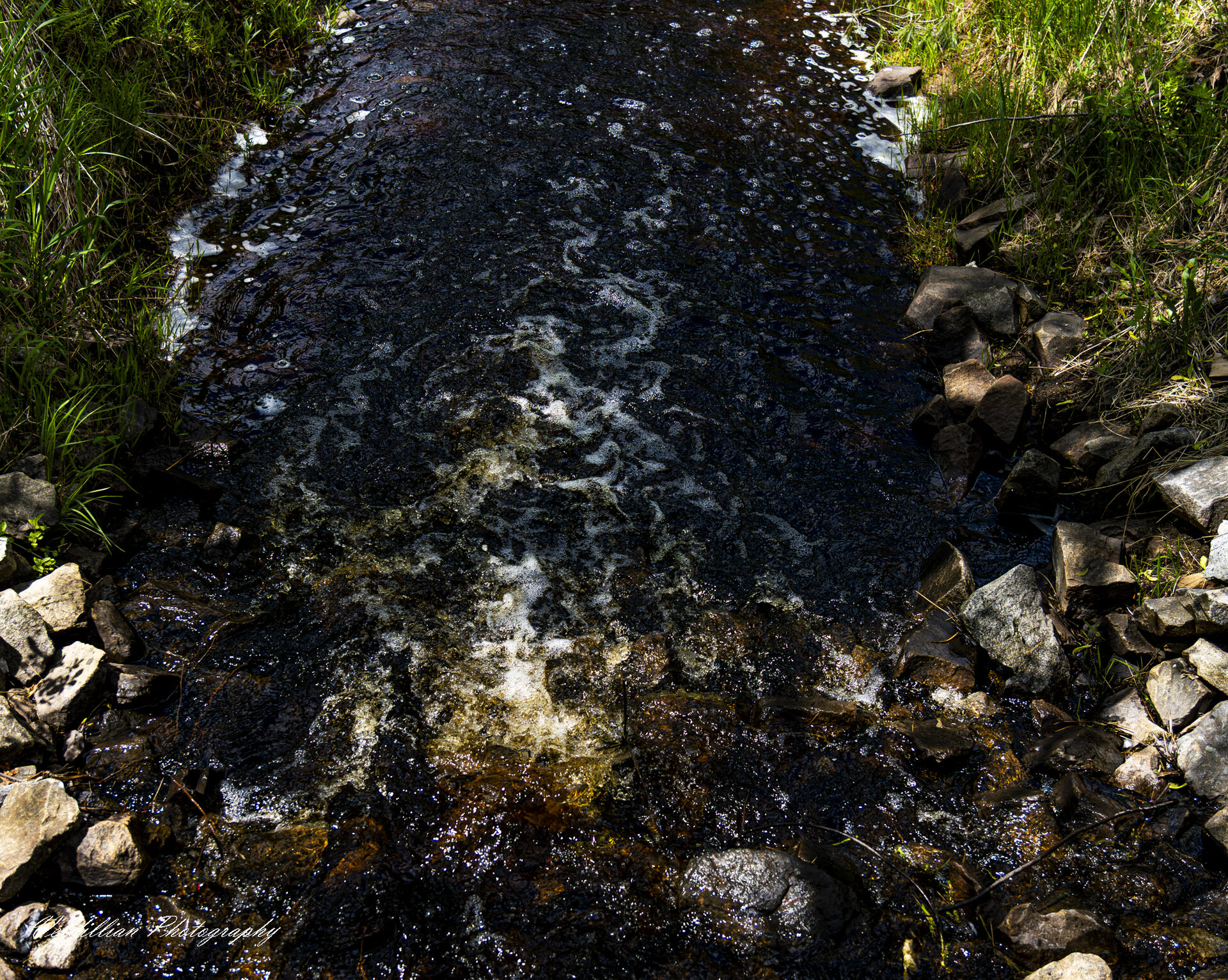 A dark, foaming creek rushing over mossy rocks, lined by grass