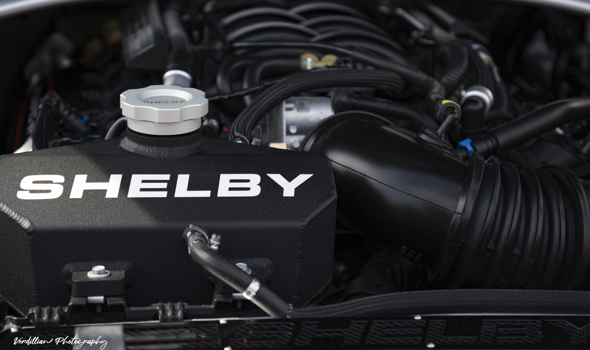 Close-up of a Shelby-branded engine cover under the hood